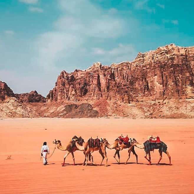 Wadi Rum Oryx Land Exterior foto